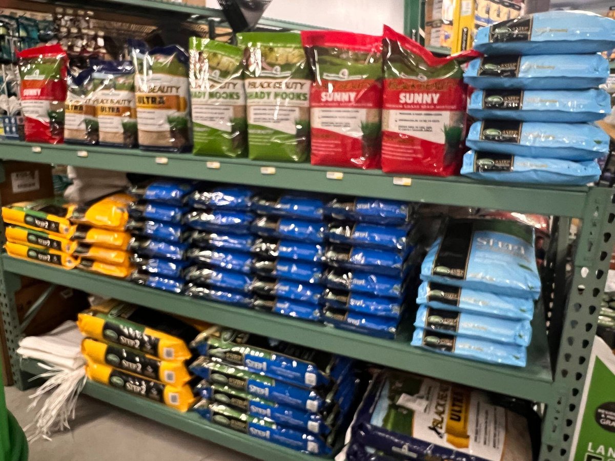 Grass Seed